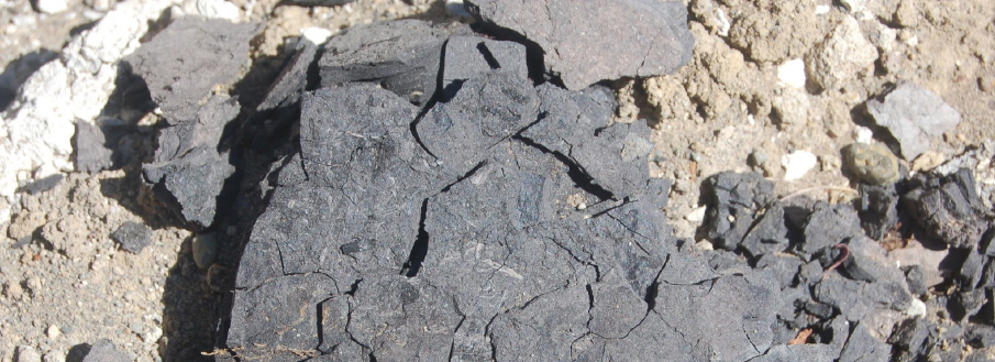 genicaplab-geology